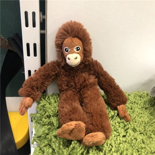 Apa Teddy